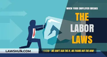 When Your Employer Breaks the Law: Your Rights and Options