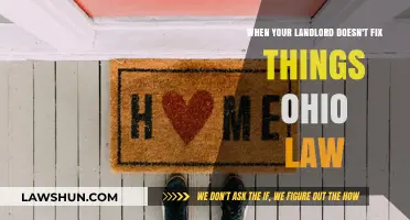 Ohio Tenant Rights: What to Do When Landlords Ignore Repairs