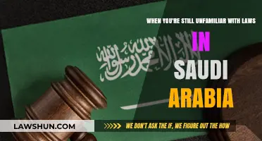 Navigating Saudi Arabia: Understanding Unfamiliar Laws for Travelers and Expats