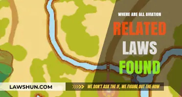Navigating the Skies: Where to Find All Aviation Laws