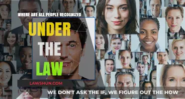 Legal Recognition: Where Are All Individuals Acknowledged Under the Law?