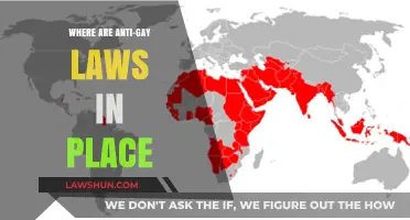 Global Overview: Countries Where Anti-Gay Laws Remain Enforced Today
