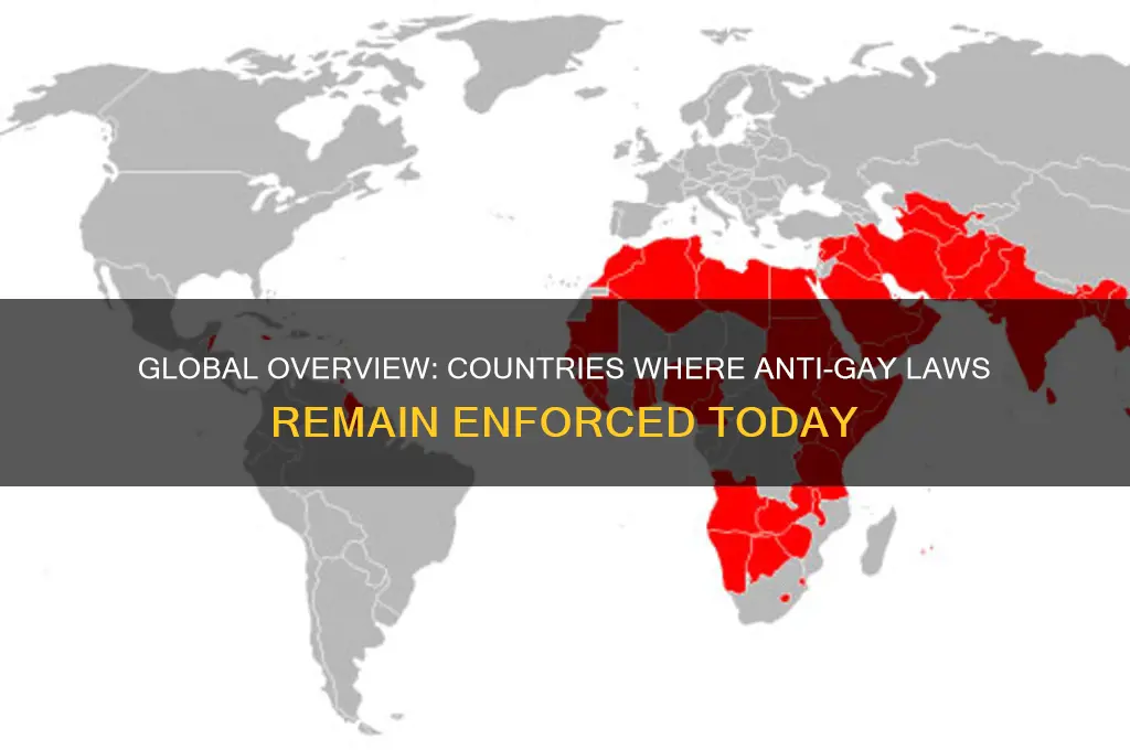 where are anti-gay laws in place