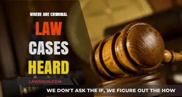 Criminal Law Cases: Where Are They Heard?