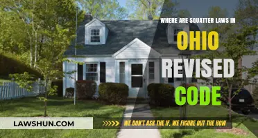 Ohio Squatter Rights: Revised Code Updates and Legal Implications
