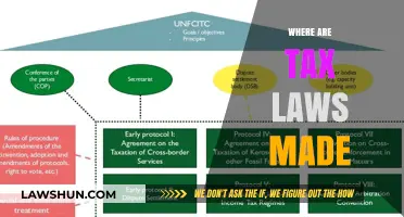 Who Makes Tax Laws?