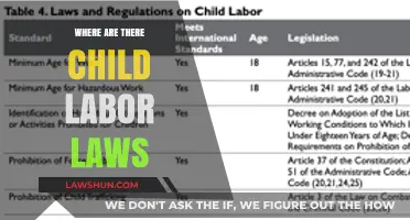 Global Child Labor Laws: Where Are Protections Enforced and Why?