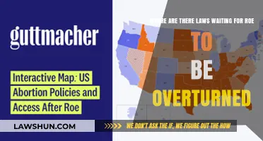 States Poised to Ban Abortion: Laws Awaiting Roe v. Wade's Fall