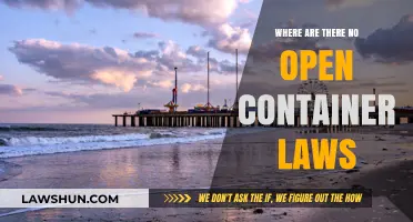 Exploring U.S. Cities Where Open Container Laws Don’t Apply
