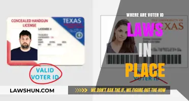 Where Voter ID Laws Exist: A Comprehensive State-by-State Overview