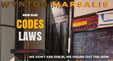 Understanding the Origins and Impact of Black Codes Laws in America