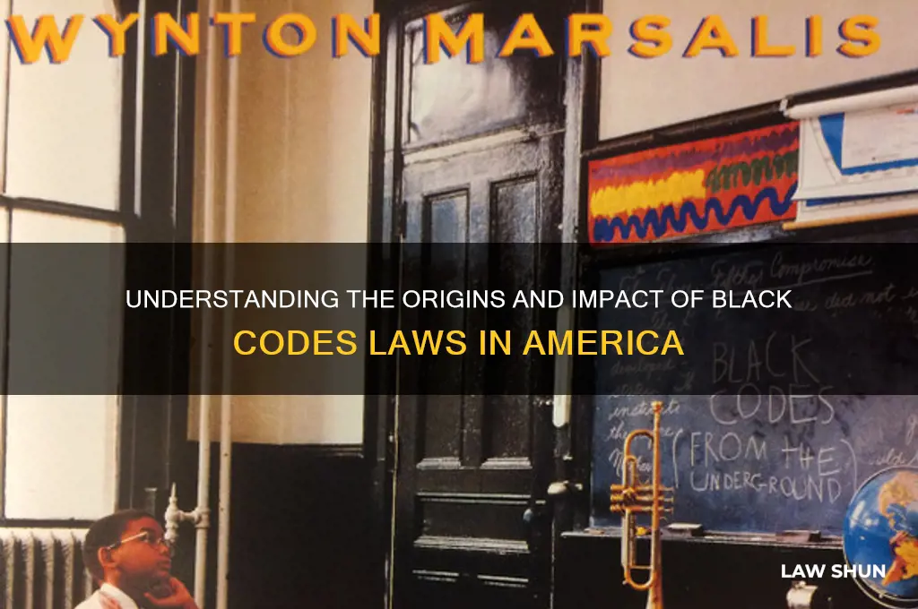 where black codes laws