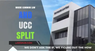 Common Law and UCC: Where They Diverge