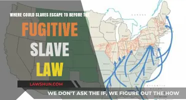 Paths to Freedom: Slave Escape Routes Before the Fugitive Slave Law