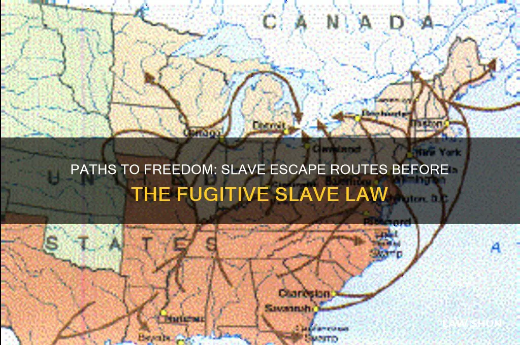 where could slaves escape to before the fugitive slave law