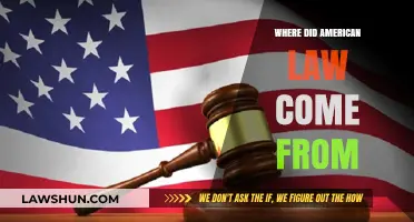 Origins of American Law: Tracing Its Historical and Cultural Roots
