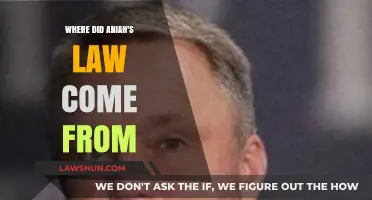The Origins of Aniah's Law: A Tragic Story Behind the Legislation