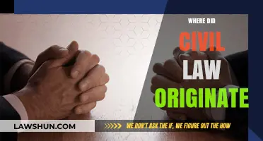 The Ancient Roots and Evolution of Civil Law Systems