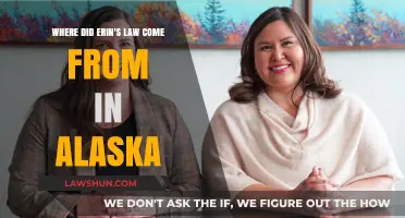 Erin's Law in Alaska: Origins and Impact on Child Safety
