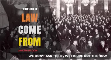 The Origins of 'In-Law': Unraveling the Family Term's Surprising History