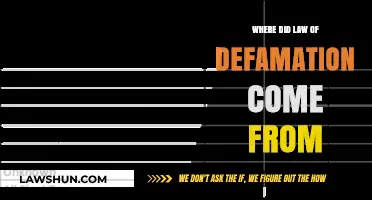Origins of Defamation Law: A Historical Journey Through Legal Evolution