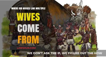 Moses' Multiple Wives: Unraveling the Origins of Biblical Polygamy
