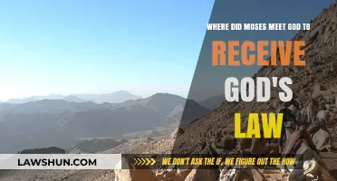 Moses' Divine Encounter: Receiving God's Law at Mount Sinai