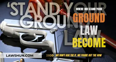 The Evolution of "Stand Your Ground" Laws: A Historical Perspective