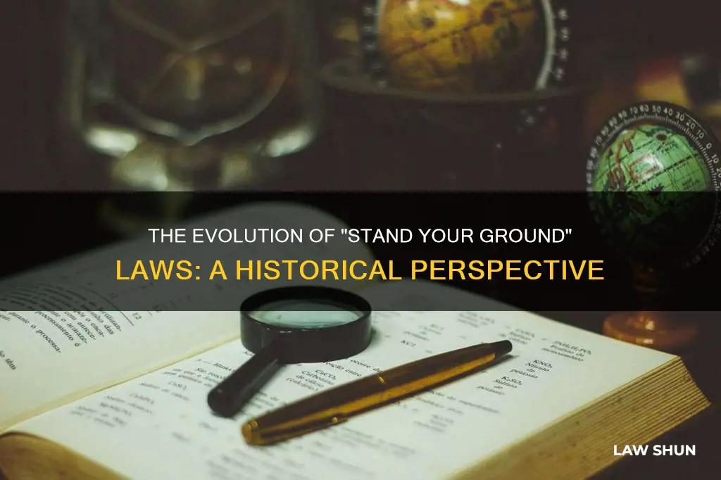 where did stand your ground law become