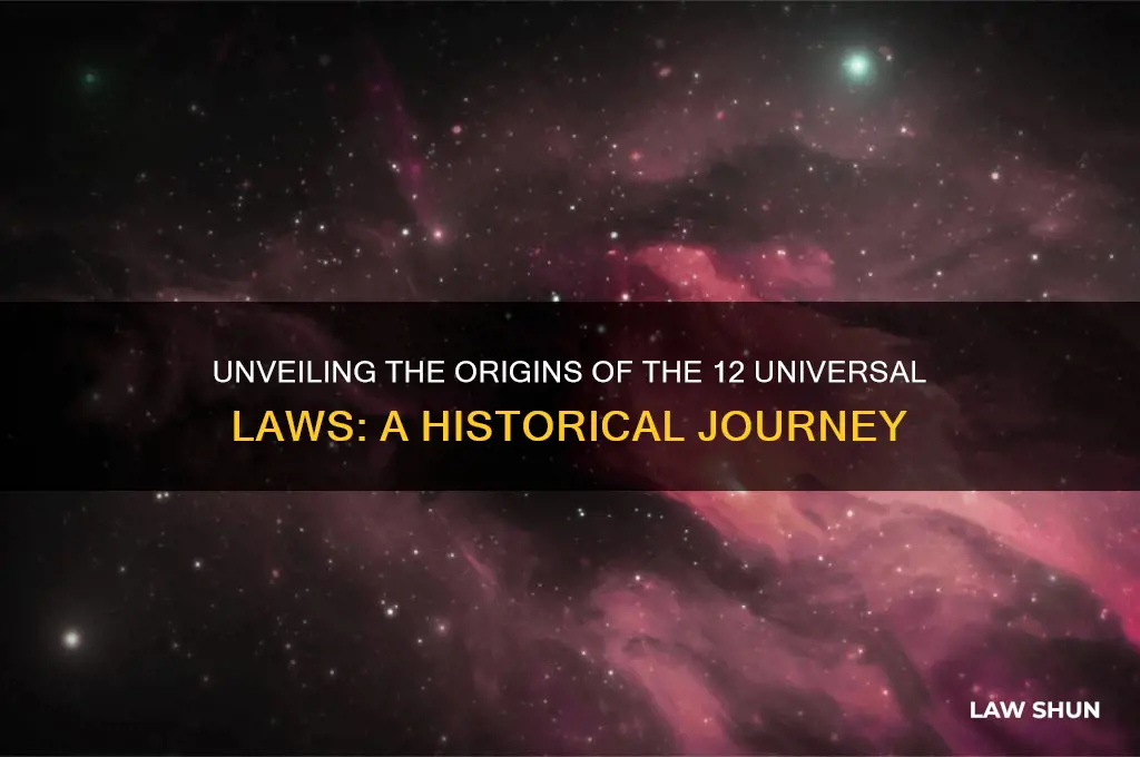 where did the 12 laws of the universe come from