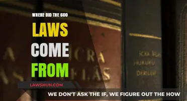 Unraveling the Origins of the 600 Laws: A Historical Journey