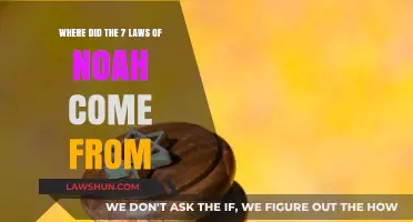 Origins of the Seven Noahide Laws: A Historical and Theological Exploration