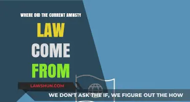 Origins of Modern Amnesty Laws: A Historical and Legal Journey