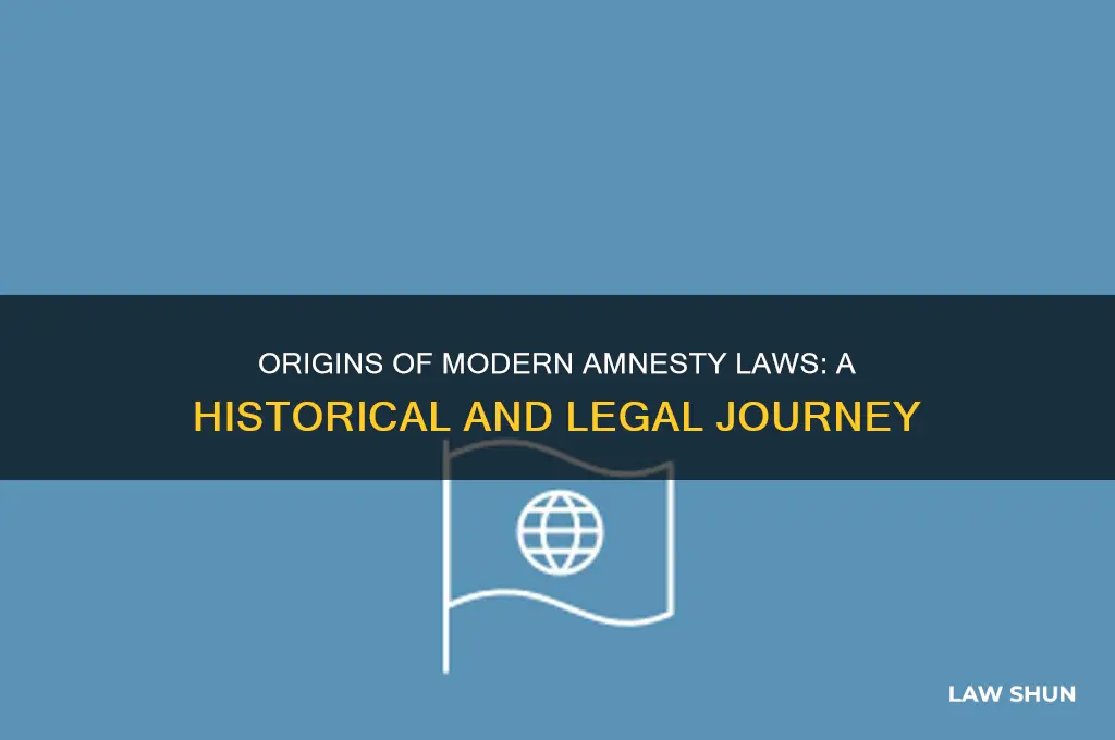 where did the current amnsty law come from