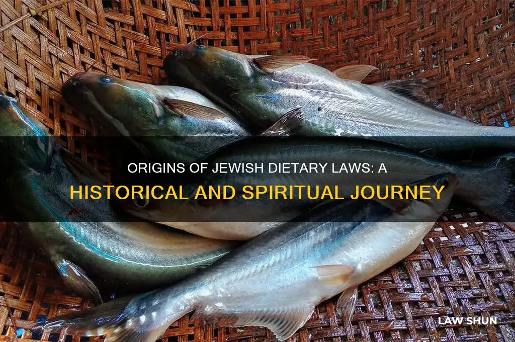 where did the jewish dietary laws come from