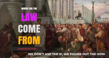 Origins of Law: Tracing the Historical Roots of Legal Systems