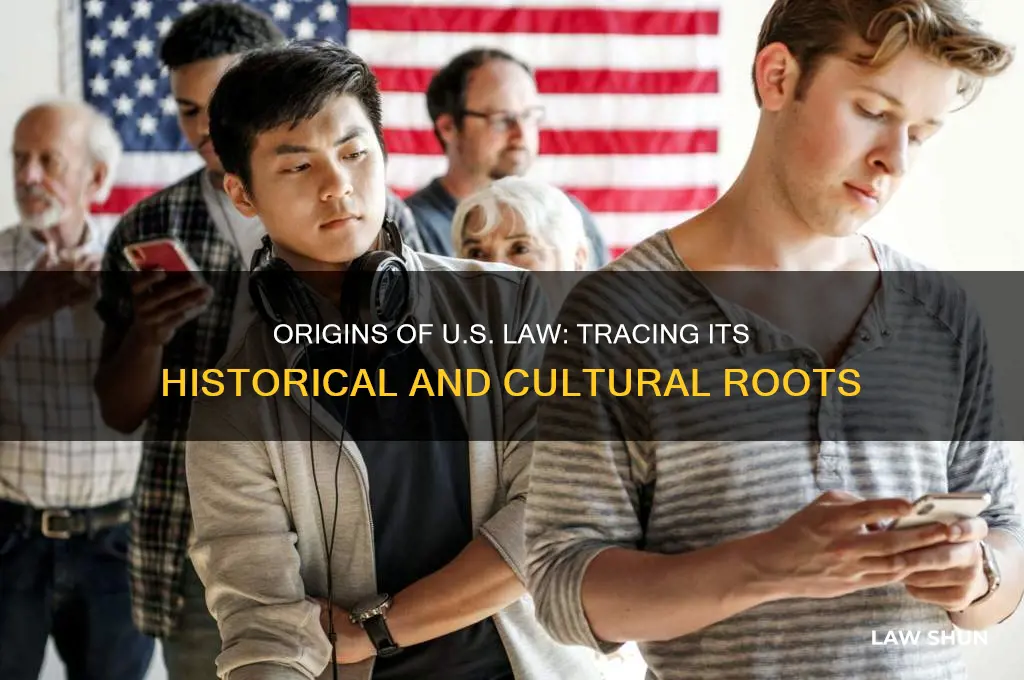 where did the law in the us come from
