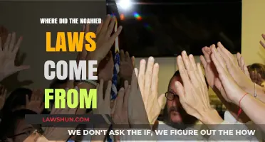 Origins of Noahide Laws: Tracing Their Ancient Roots and Development