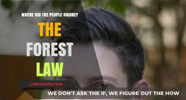 Breaking Boundaries: Communities Defying Forest Laws and Consequences