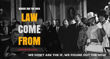 The Origins of the RICO Act: A Historical Overview