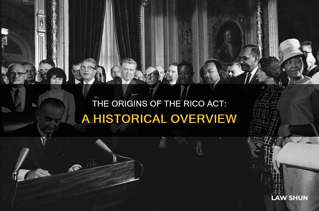 where did the rico law come from