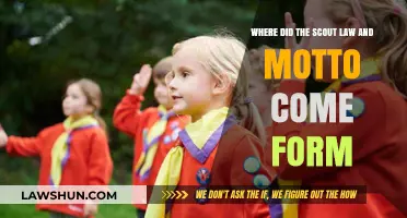 Origins of Scout Law and Motto: A Historical Journey