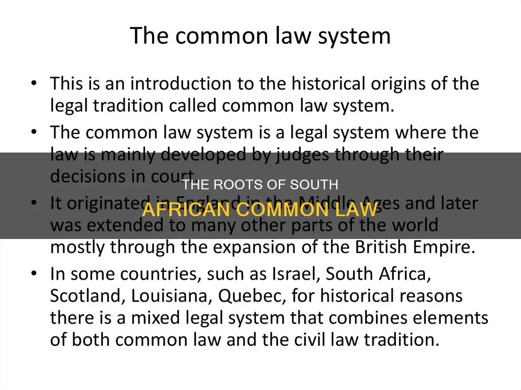 where did the south african common law originated
