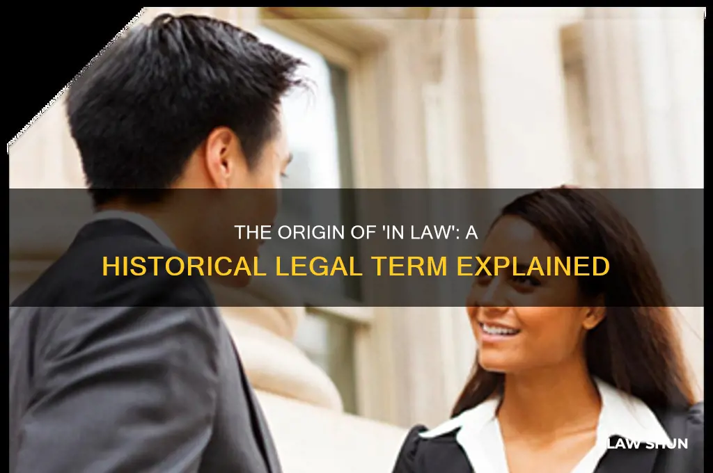 where did the term in law come from