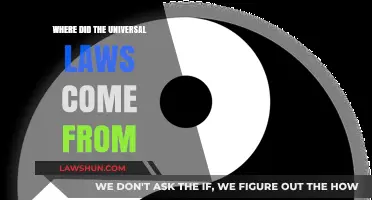 Origins of Universal Laws: Unraveling the Source of Cosmic Order