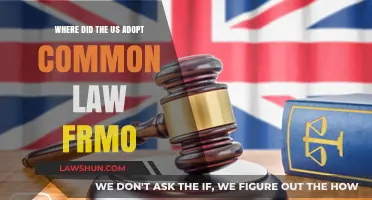 The US Legal System: British Common Law Roots