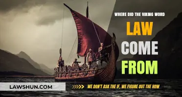 Unraveling the Viking Origins of the Word 'Law': A Historical Journey