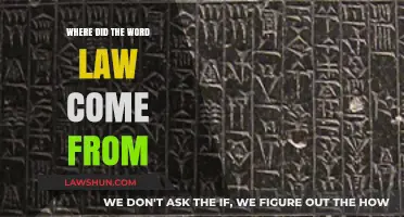 The Ancient Origins and Evolution of the Word 'Law' Explained