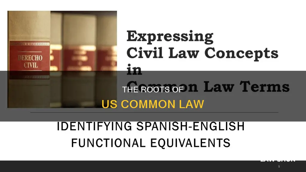 where did us common law originated