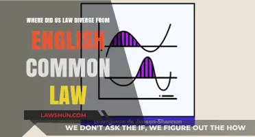 US Law: A Unique Path from English Common Law